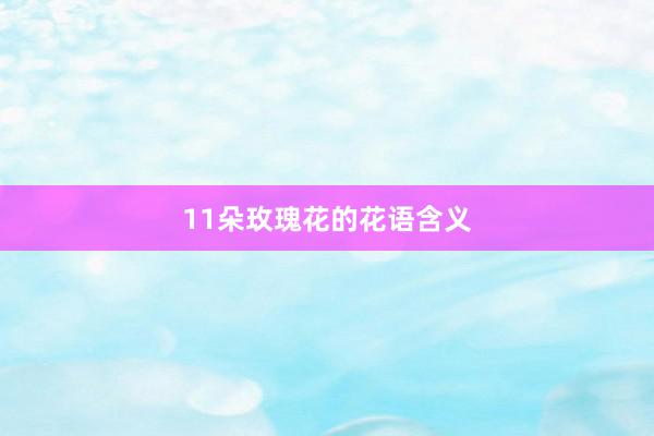 11朵玫瑰花的花语含义